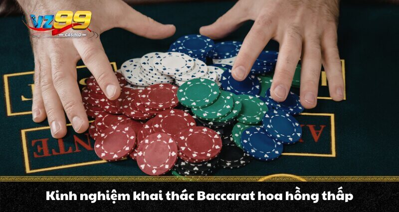 Kinh nghiệm khai thác Baccarat hoa hồng thấp