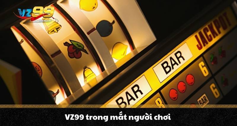 VZ99 trong mắt người chơi